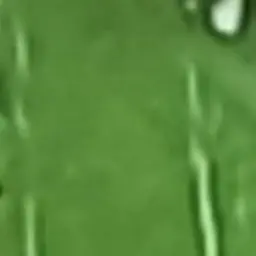 Profile image of 쉘리