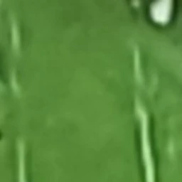 쉘리