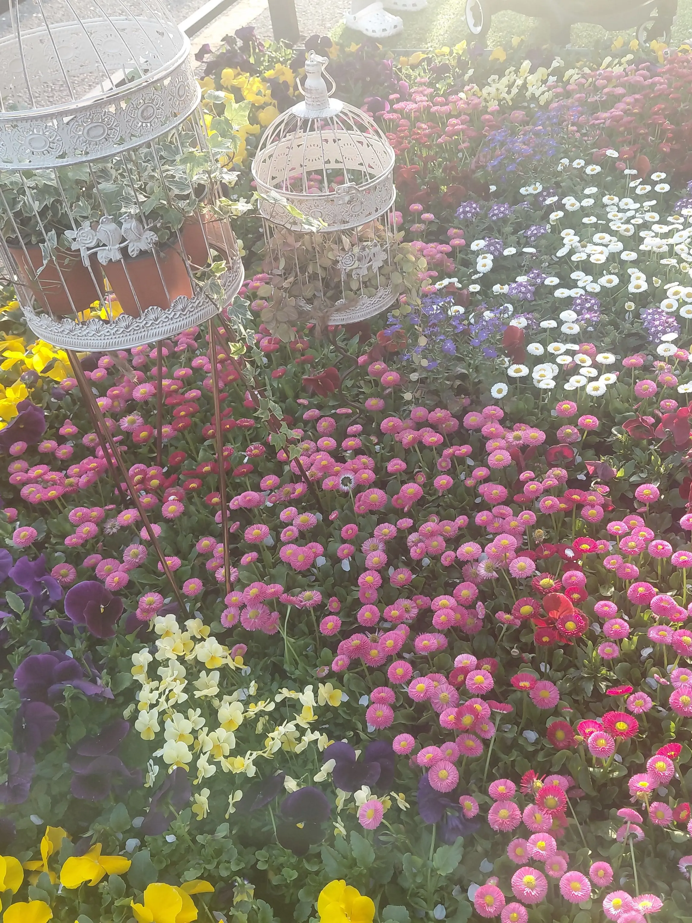 LoveDUCKGE의 Dating a Little Angel d=(^o^)=b