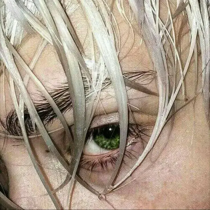 BlandSigh7638의 Damian