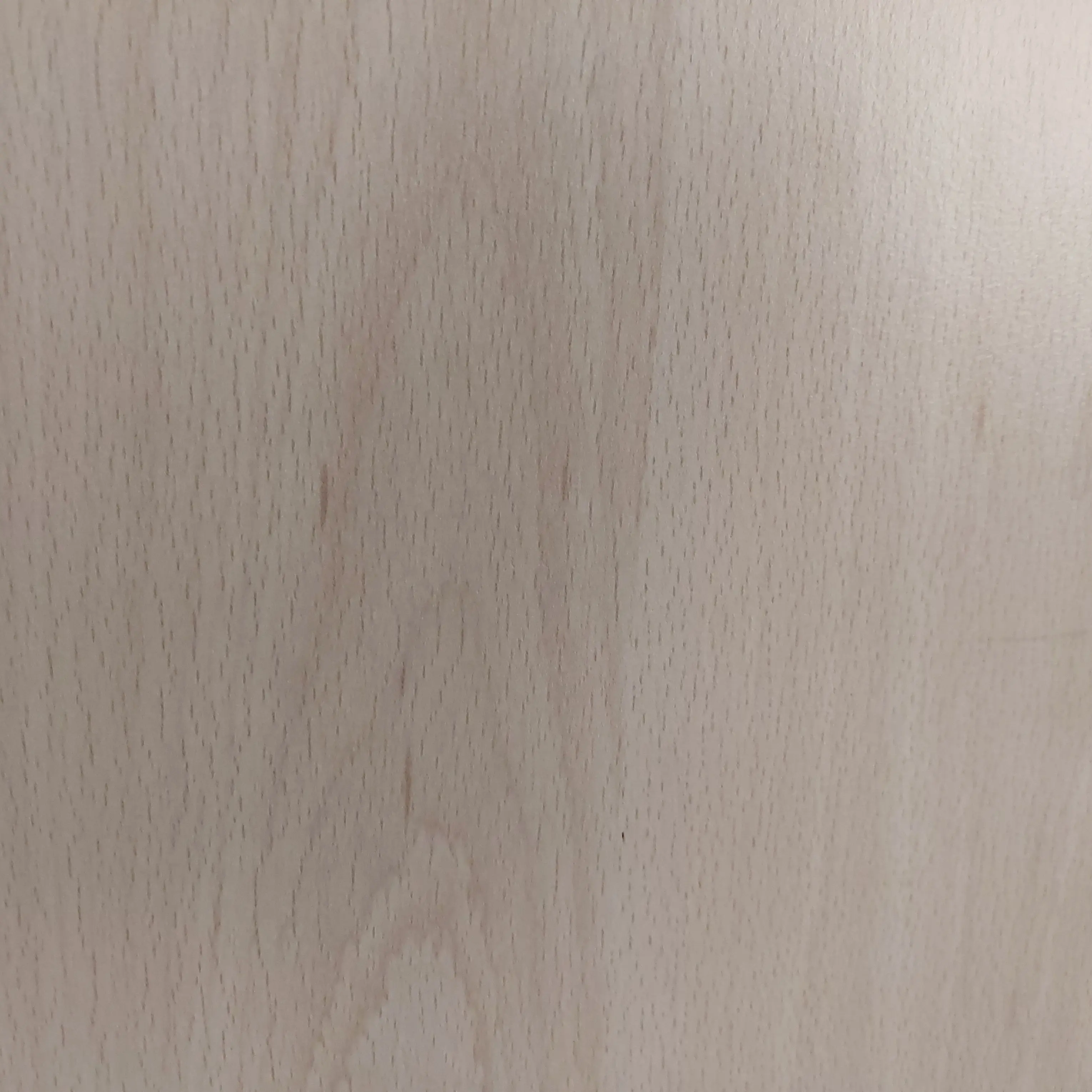 SwiftMint9796의 비스트&에이전트! 아무거나 가져오기!