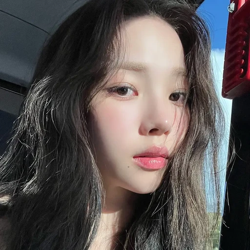 카리나