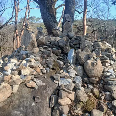 Profile image of 수연