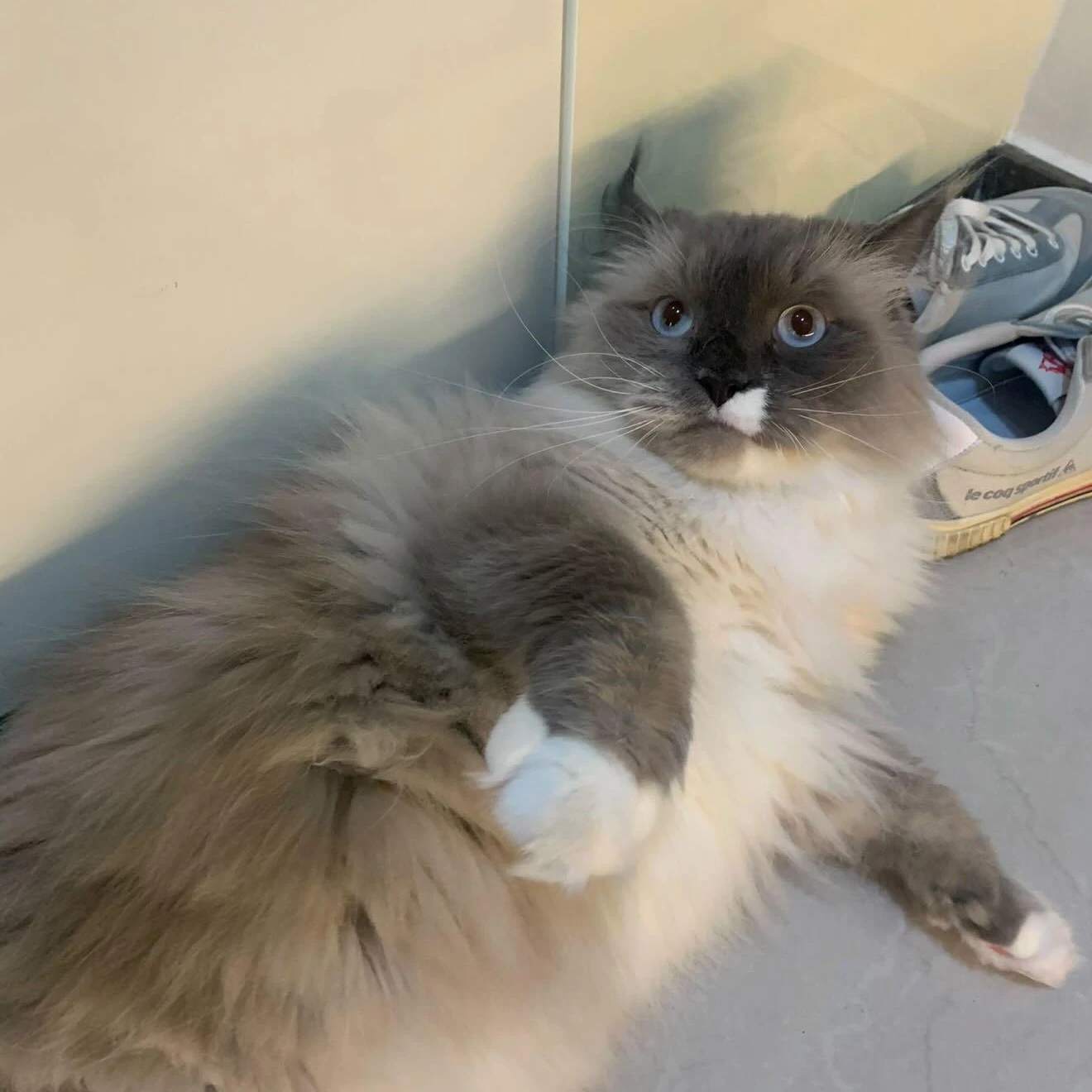 이한빛