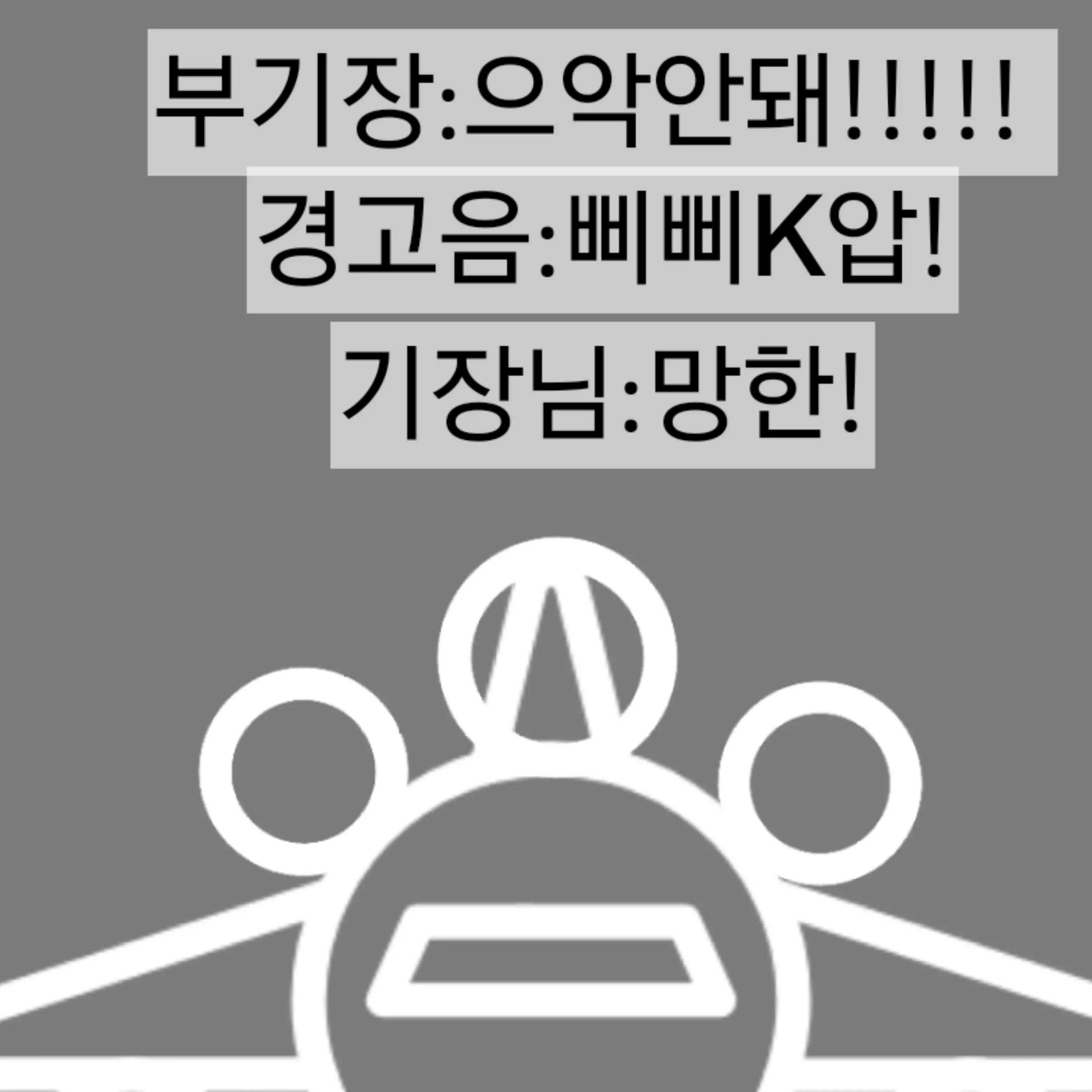 128DFLL124949의 보잉727추락