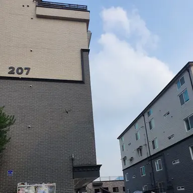 Profile image of 학생회장