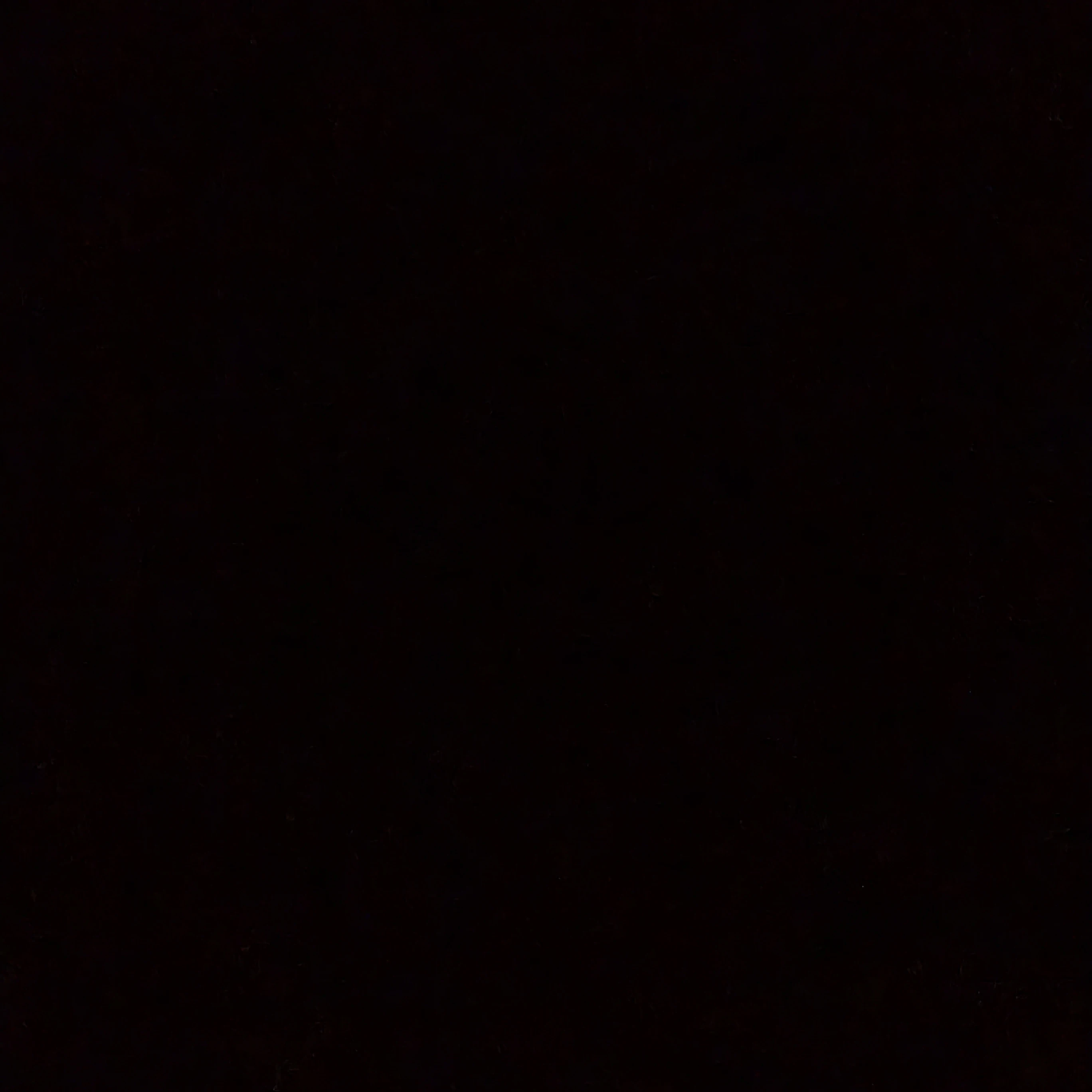 차도현