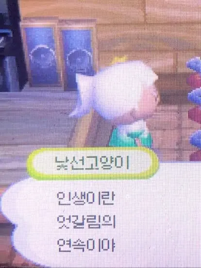 guestreal의 숲속에서 만난 여우