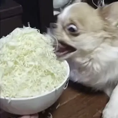 Profile image of ブリ子