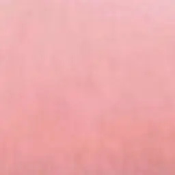 Profile image of 이윤서