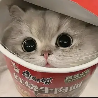 Profile image of 여우