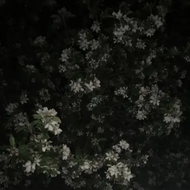 Profile image of 颯ファンの皆