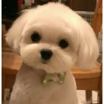 Profile image of 백지헌