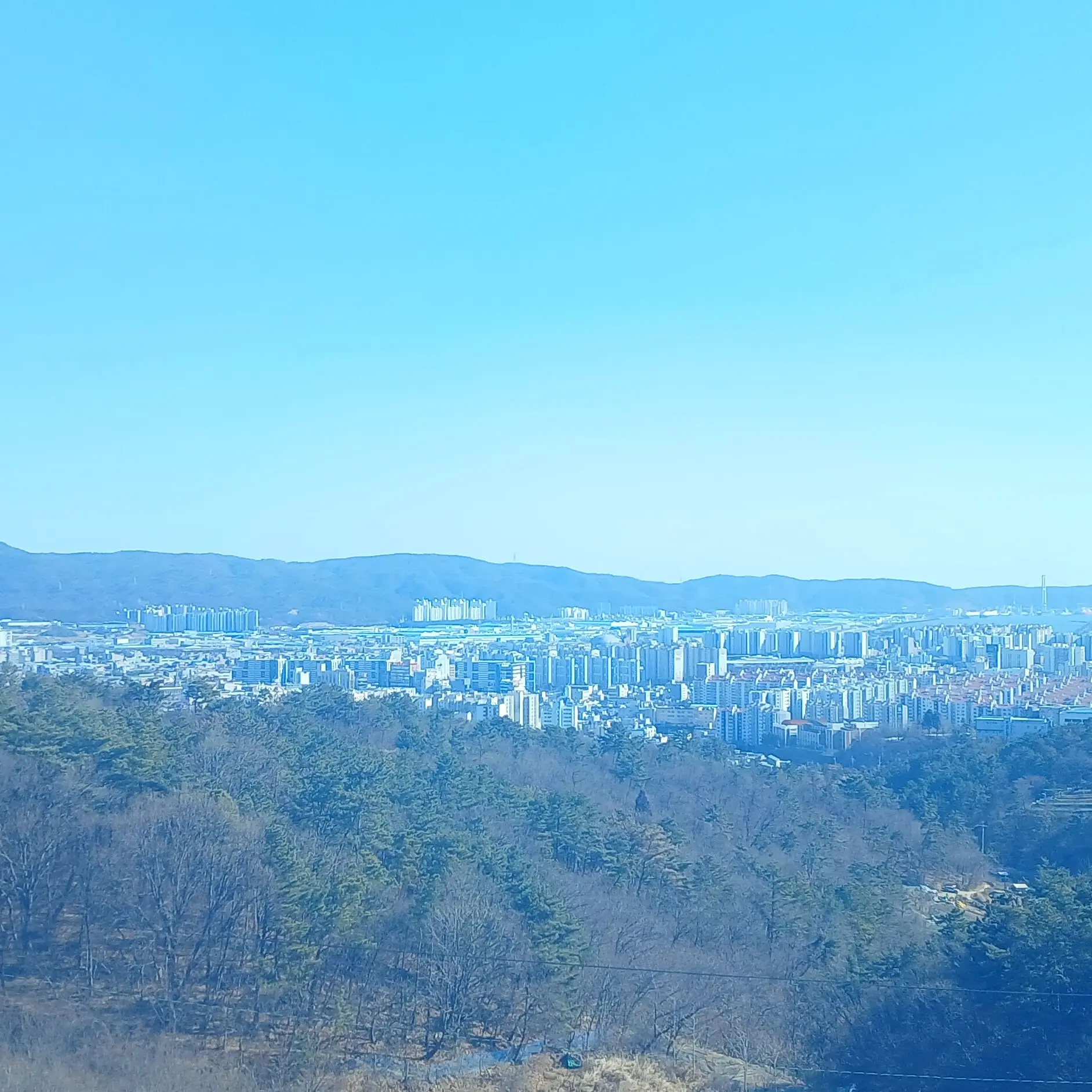 LiveDuvet0998의 삐리뽀