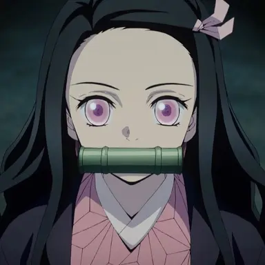 Profile image of 竈門禰豆子