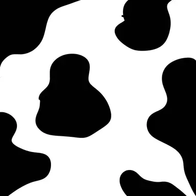 Profile image of 쿠앤크