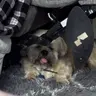 Profile image of KIDNAPPED