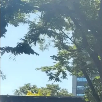 김준구
