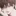 이 찬호