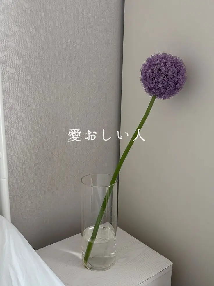 omochimaru25의 愛おしい人