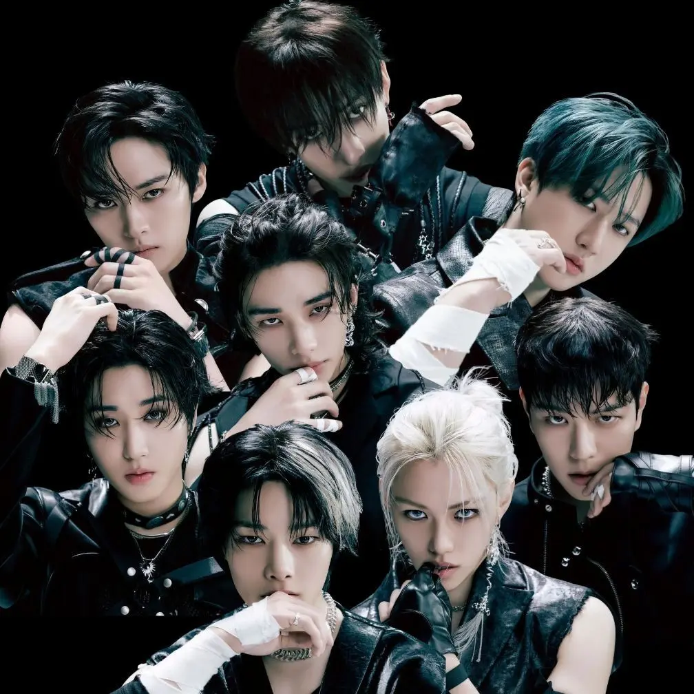 BasicAlert5487의 Stray kids