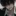 레오