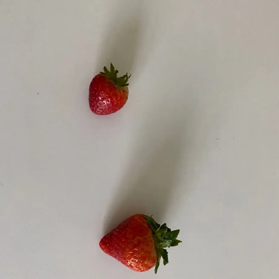 PerkyBlade1704의 이동혁이 항상 a+ 받는 이유