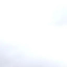 Profile image of 貂