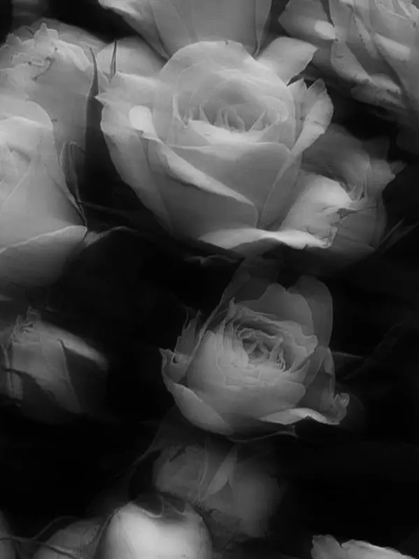 liveforyou.의 ˚𝜗ৎ⋆｡˚ ⋆