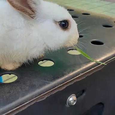 Profile image of 비요코 히요