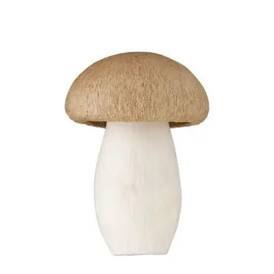 Profile image of ルウ