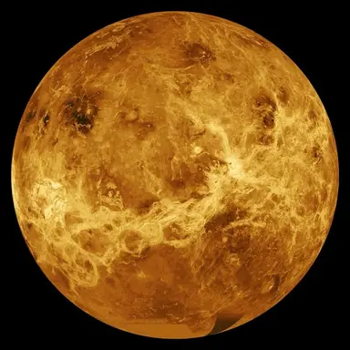 Profile image of Sun