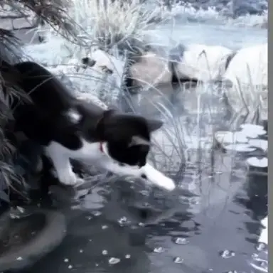 Profile image of うり