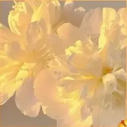 Profile image of たっつん