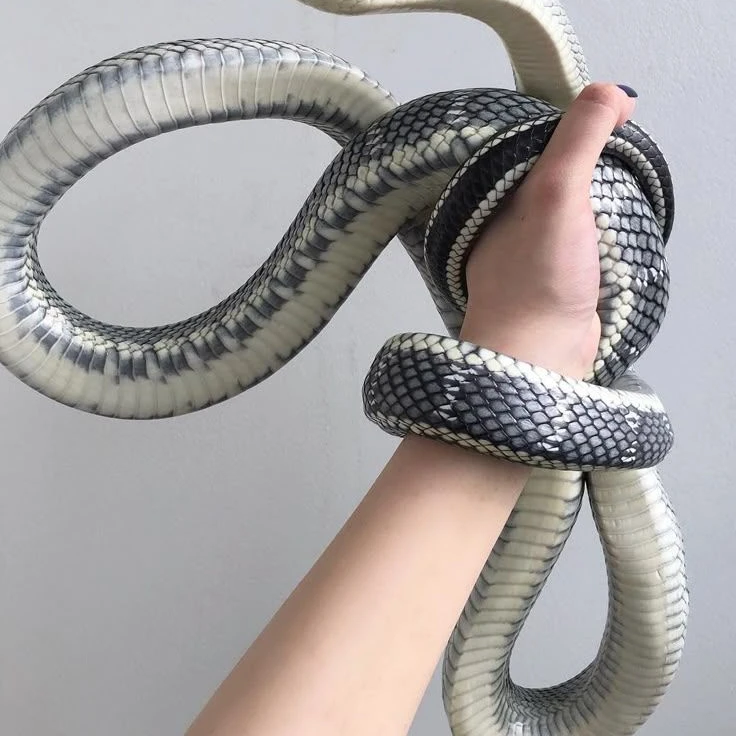 한겨울