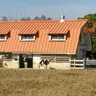Profile image of 人間牧場