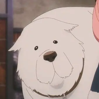 Profile image of 본드포저