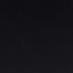 튤립핑