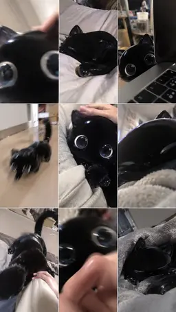 Profile image of Cat