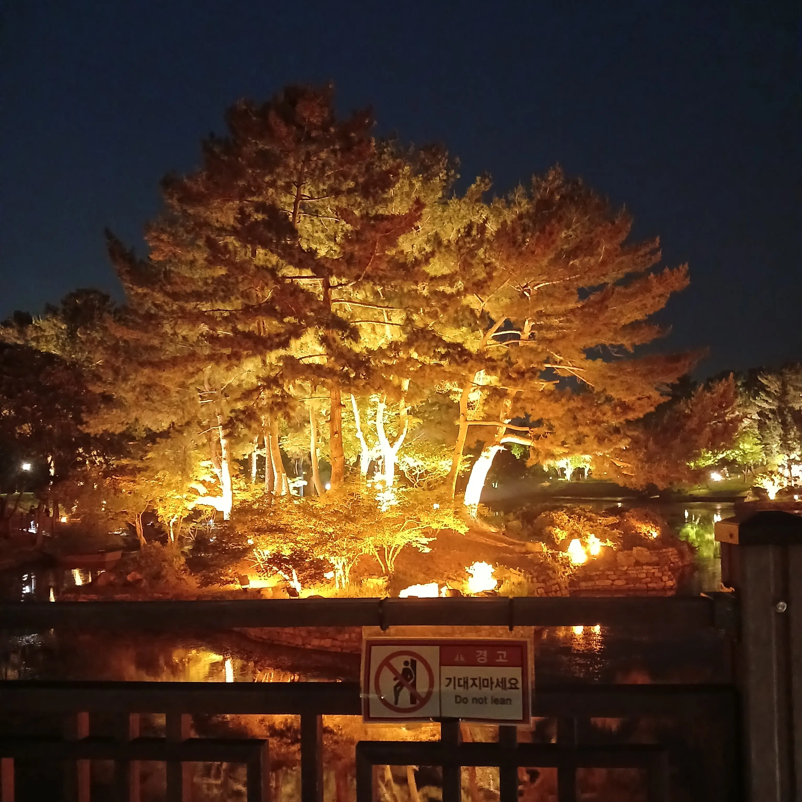 NarrowXerus7116의 경주에간팀나빠(여우 포함!)