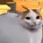 치피