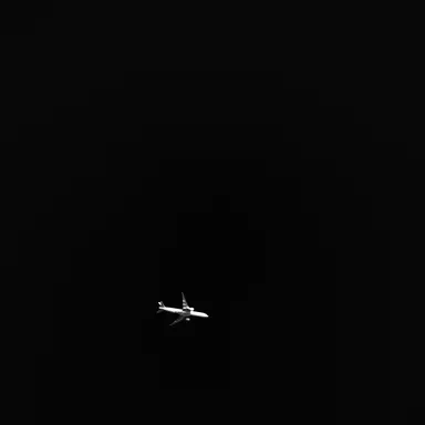 Profile image of 선배