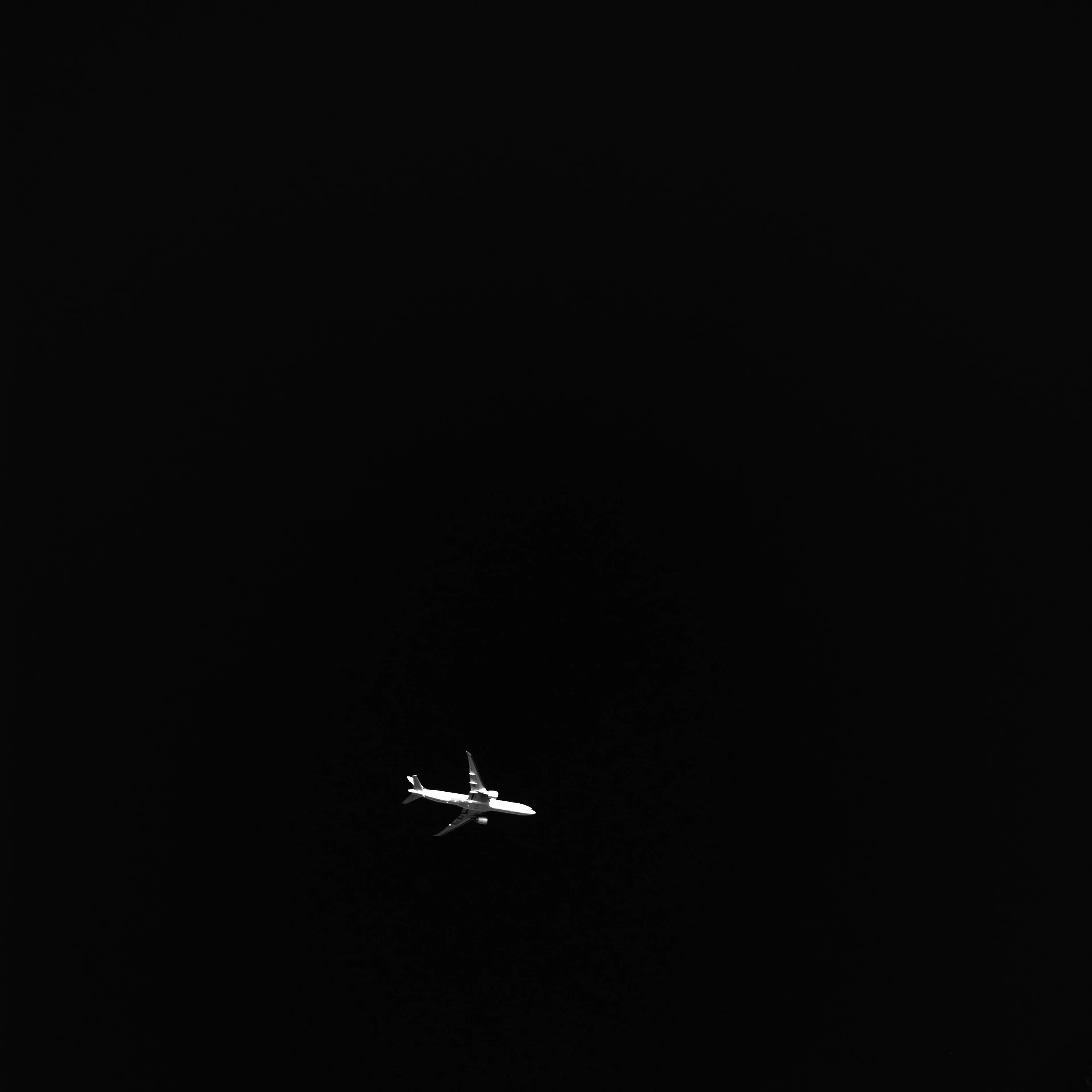 선배