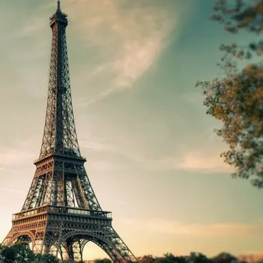 Profile image of France
