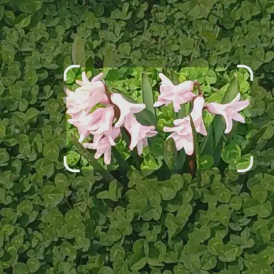 Profile image of 김건우