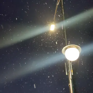 Profile image of 수현