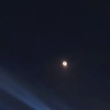 Profile image of 잠뜰