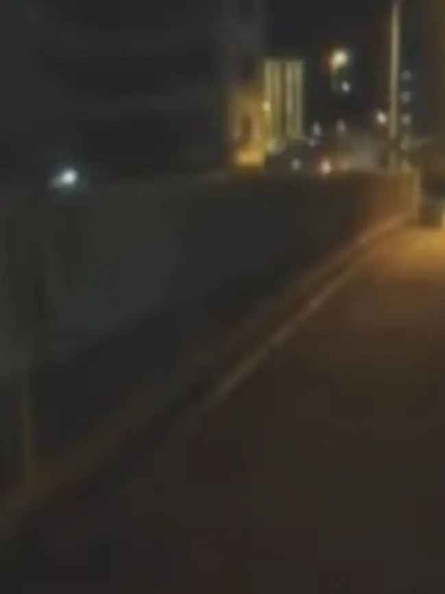 SneakyVirus8559의 '아무도 눈치채지 못하네.'