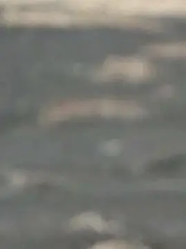 PickyLane1669의 ペンディングトレイン