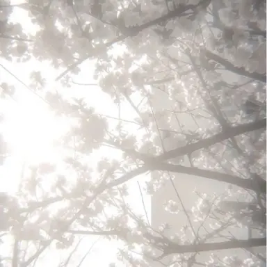 Profile image of 白浜 優斗
